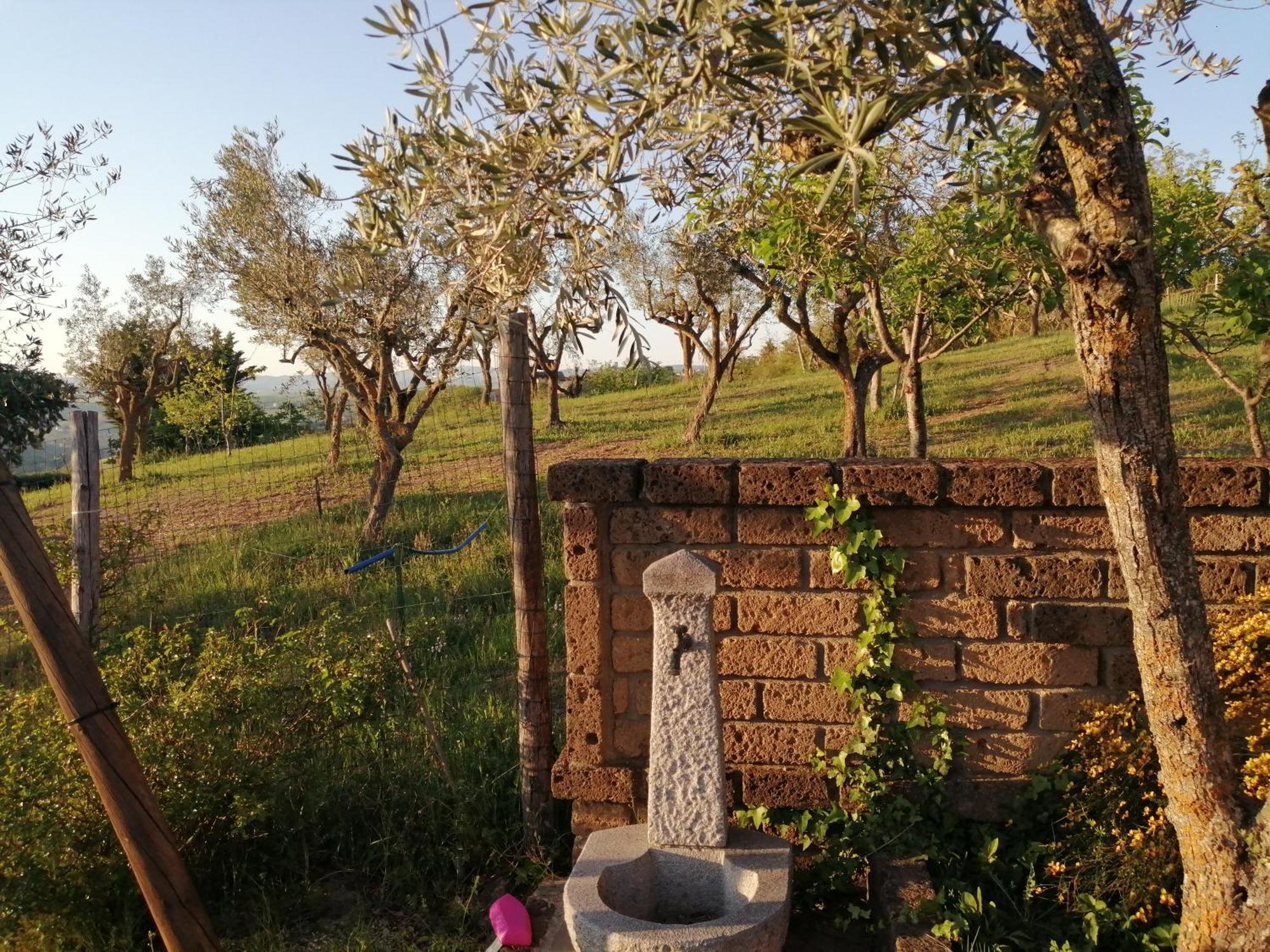 B&B Villa Milena Ariano Irpino Ngoại thất bức ảnh