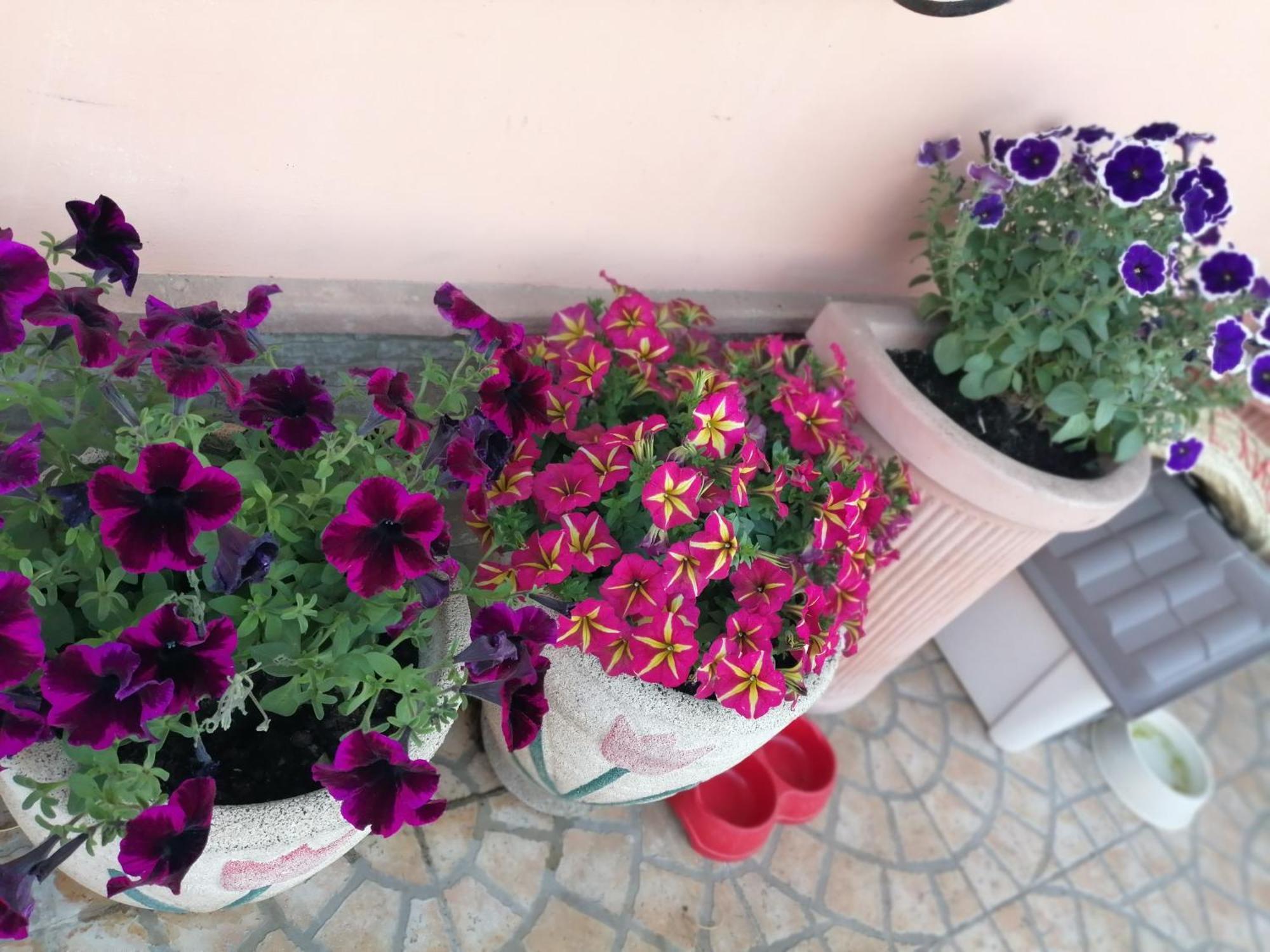 B&B Villa Milena Ariano Irpino Ngoại thất bức ảnh